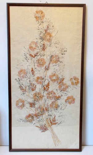 Vtg dried pressed flowers - pressed,
